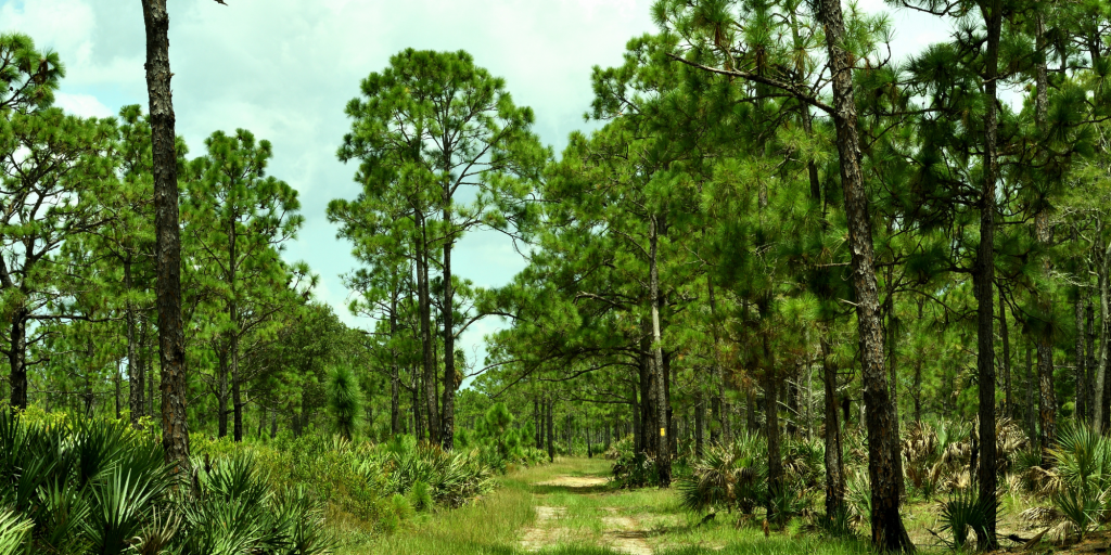 D&R Landscaping & Excavation service areas across Fort Pierce, Port St. Lucie, the Treasure Coast, and nearby Florida counties.