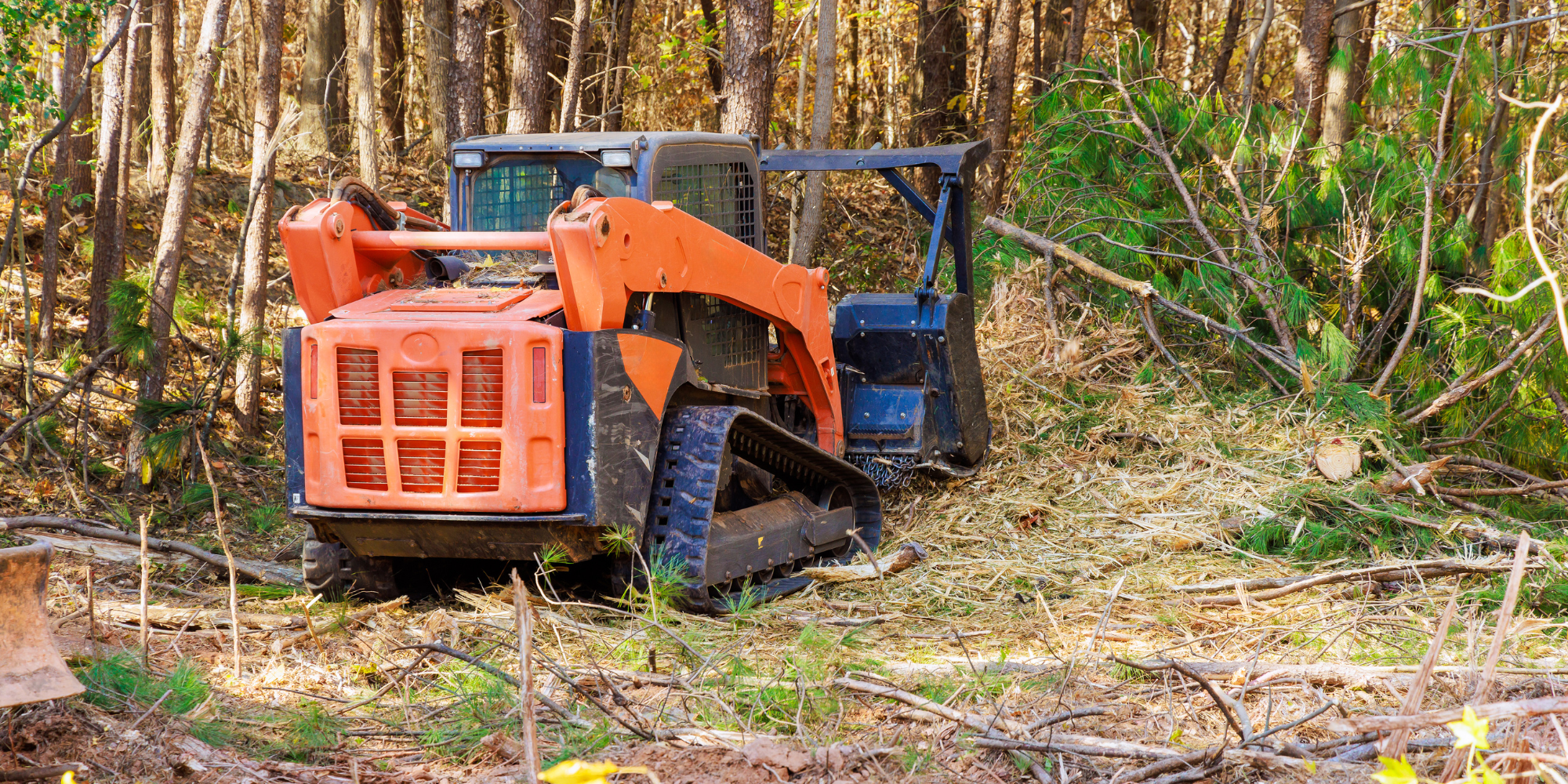 Forestry mulching and land clearing service by D&R Landscaping & Excavation in Fort Pierce, Florida.