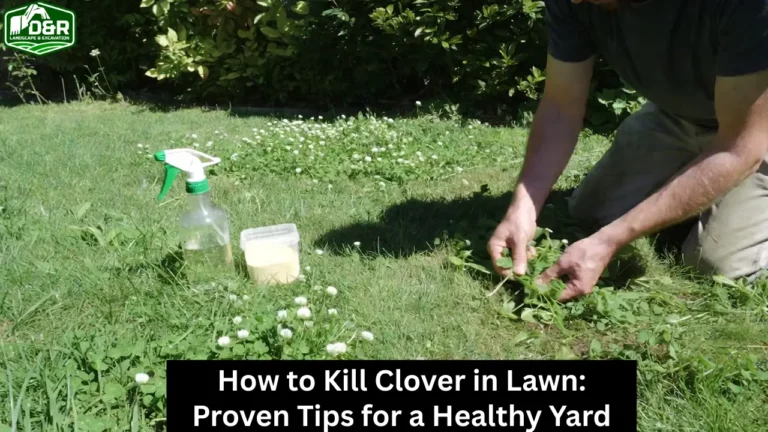 how to kill clover in lawn