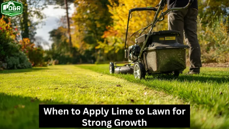 when to apply lime to lawn
