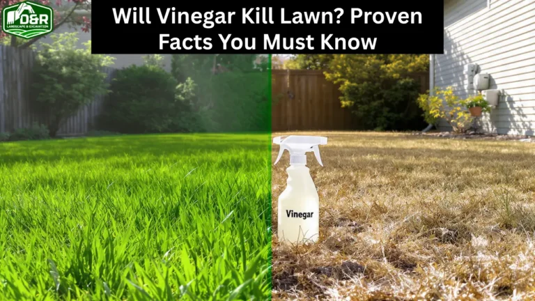 will vinegar kill lawn