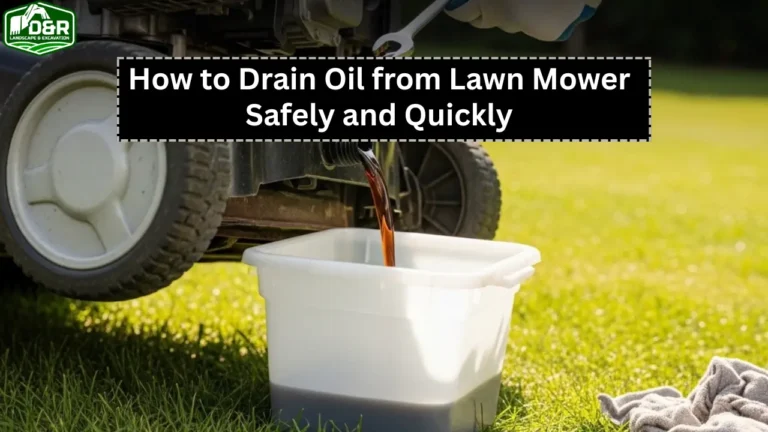 how to drain oil from lawn mower, how to drain oil from lawn mower in florida