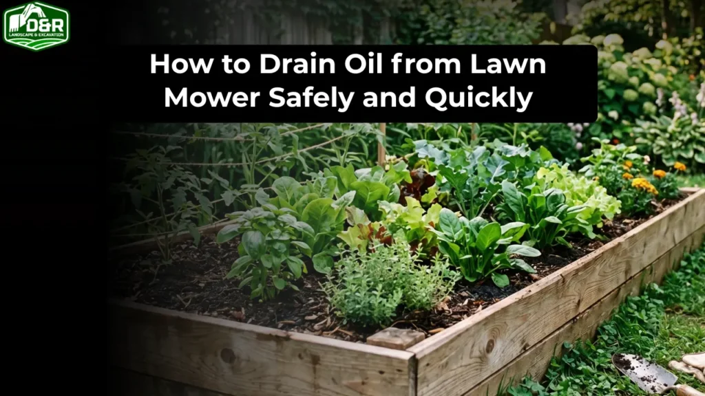 how to build a raised garden bed, how to build a raised garden bed in florida, how to build a raised garden bed fort pierce