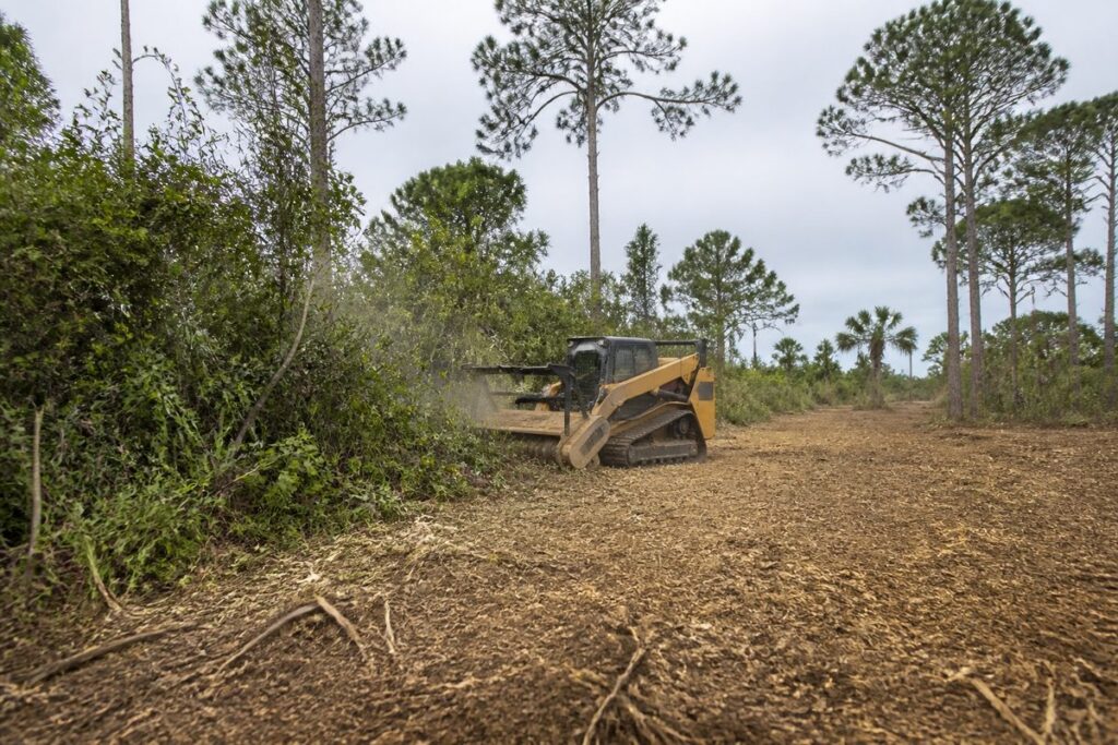 Forestry mulcher opening brush while selected trees remain on a Florida property
