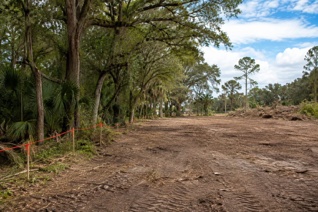 Selective land clearing beside retained mature trees on a Florida property