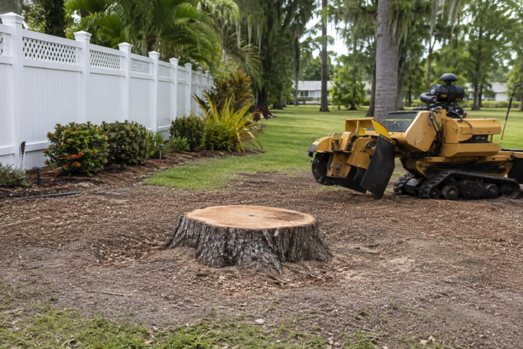 Tree stump and professional stump grinder on a Florida property