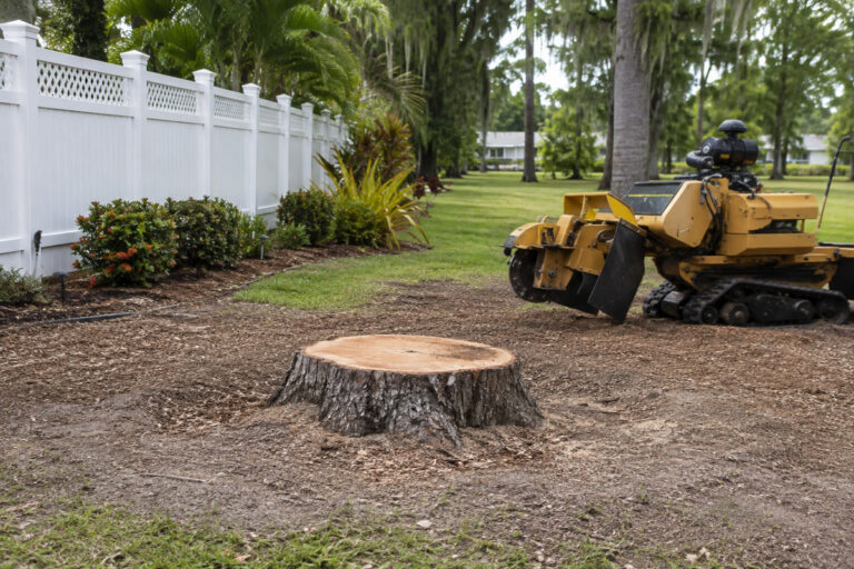 Tree stump and professional stump grinder on a Florida property